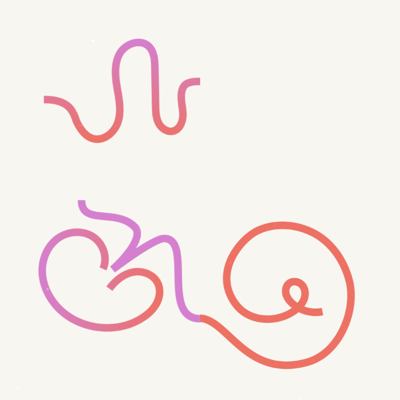 Colorful Paths #4 static token preview