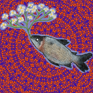 Flower Fish project preview