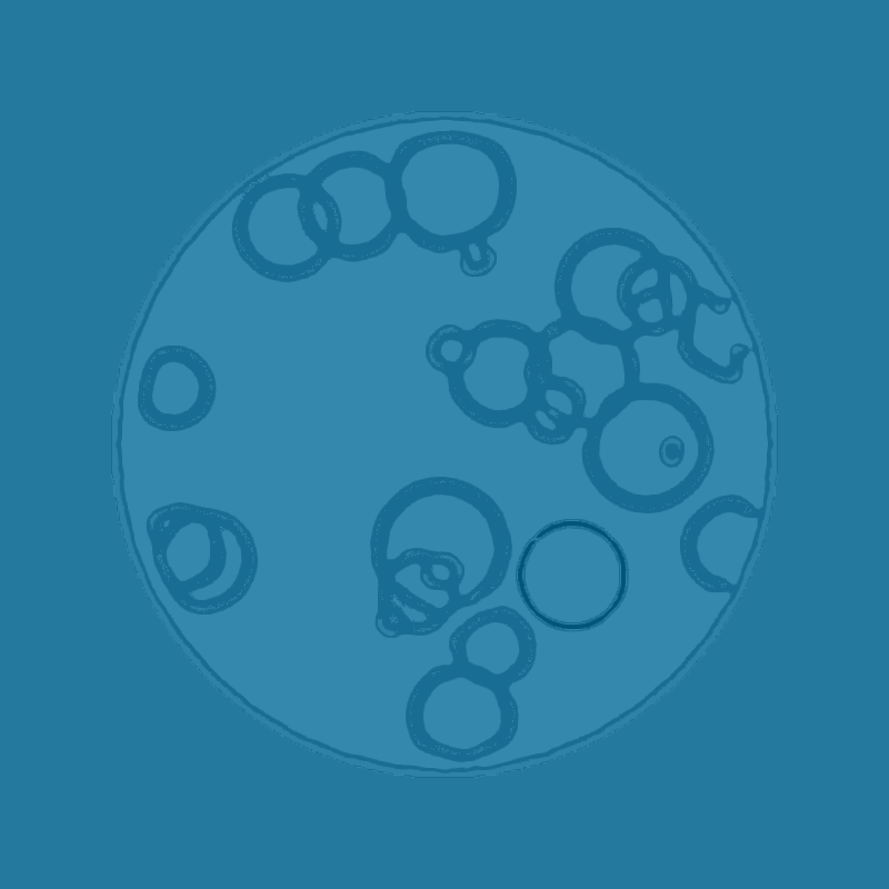 Cheap Petri Dish #9 static token preview
