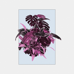 Botany project preview