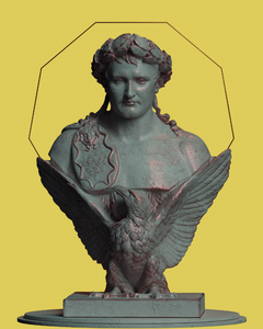 Napoleon project preview