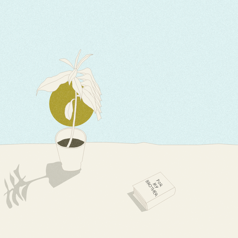 Still Life #12 #16 static token preview