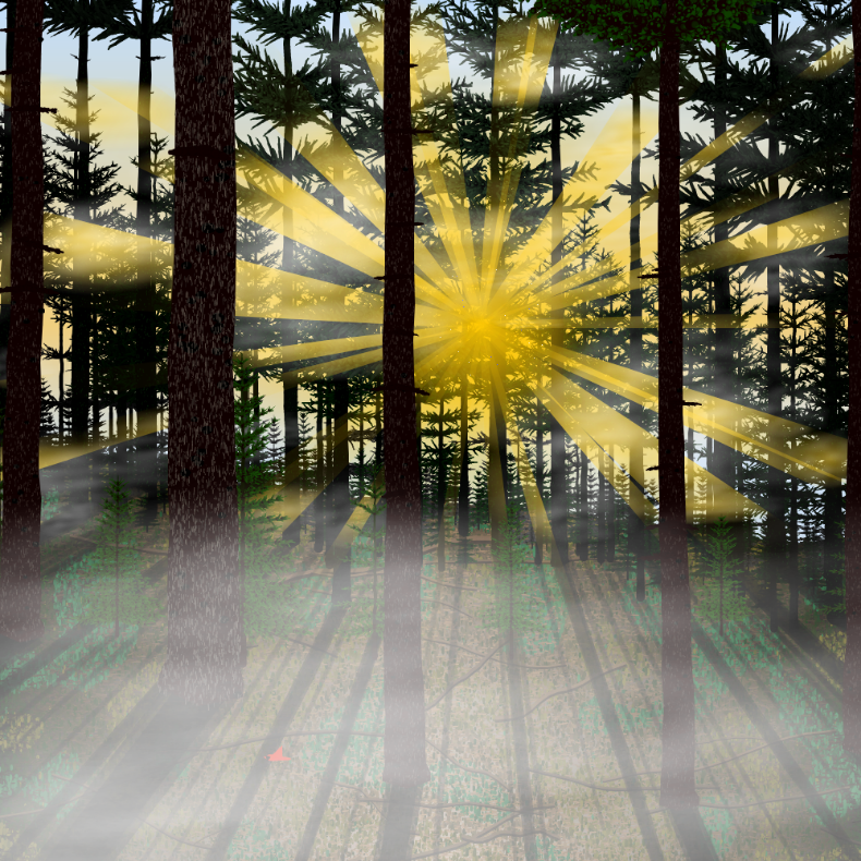 Forest Sunrise #19 static token preview