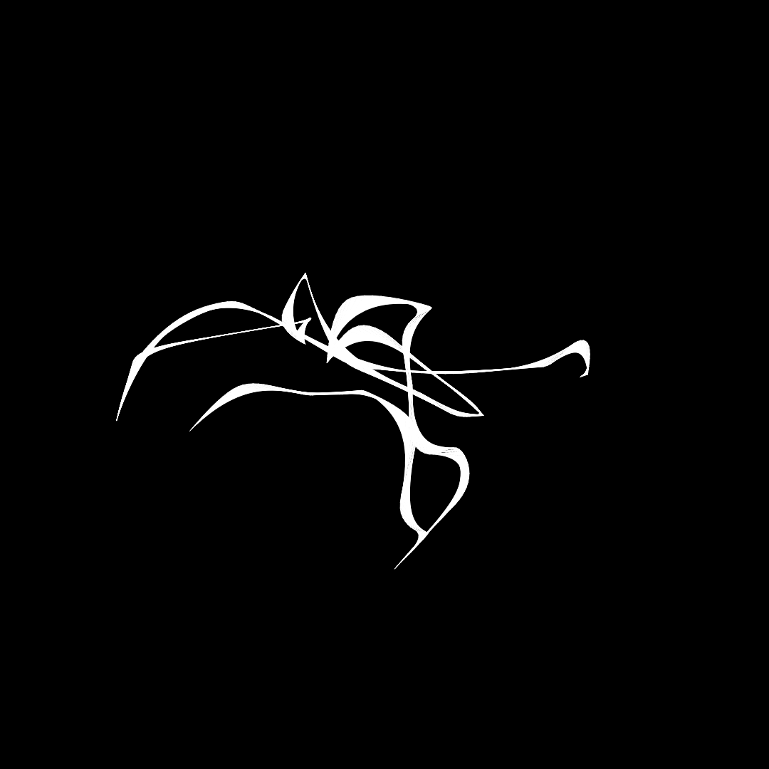 What do you see? #18 static token preview