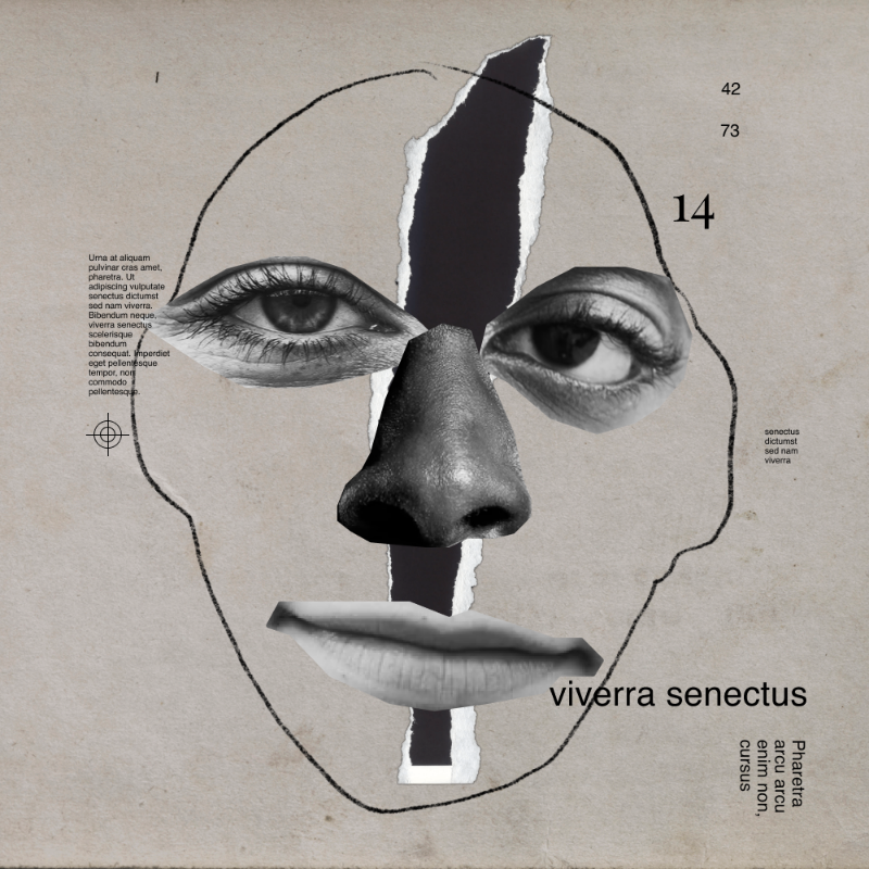 Collage faces #23 static token preview