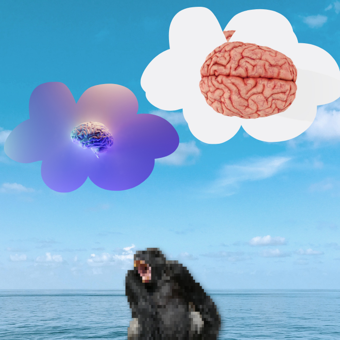 Anxious monkeys #16 static token preview
