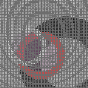 AroundYou project preview