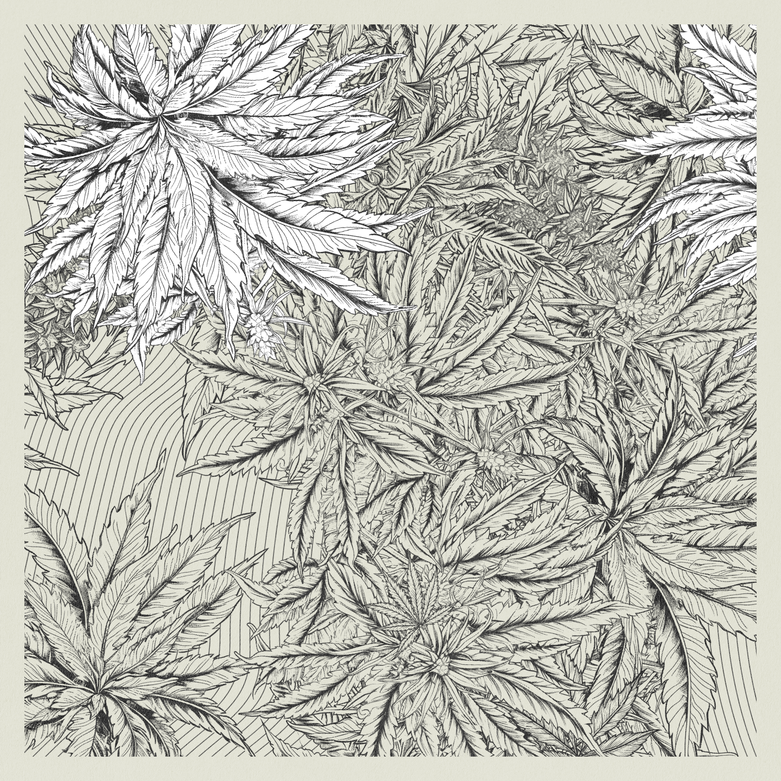 zancannabis #24 static token preview