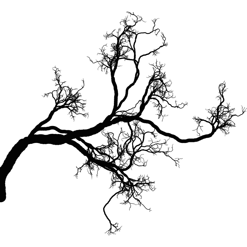Tree 01 #115 static token preview