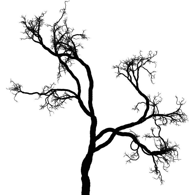 Tree 01 #116 static token preview