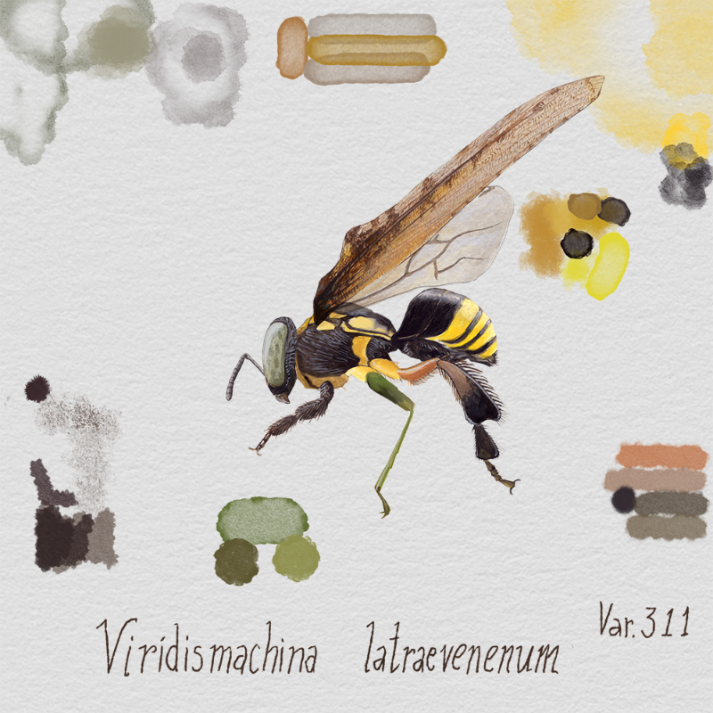 Randomic Brazilian Insects 1 #9 static token preview