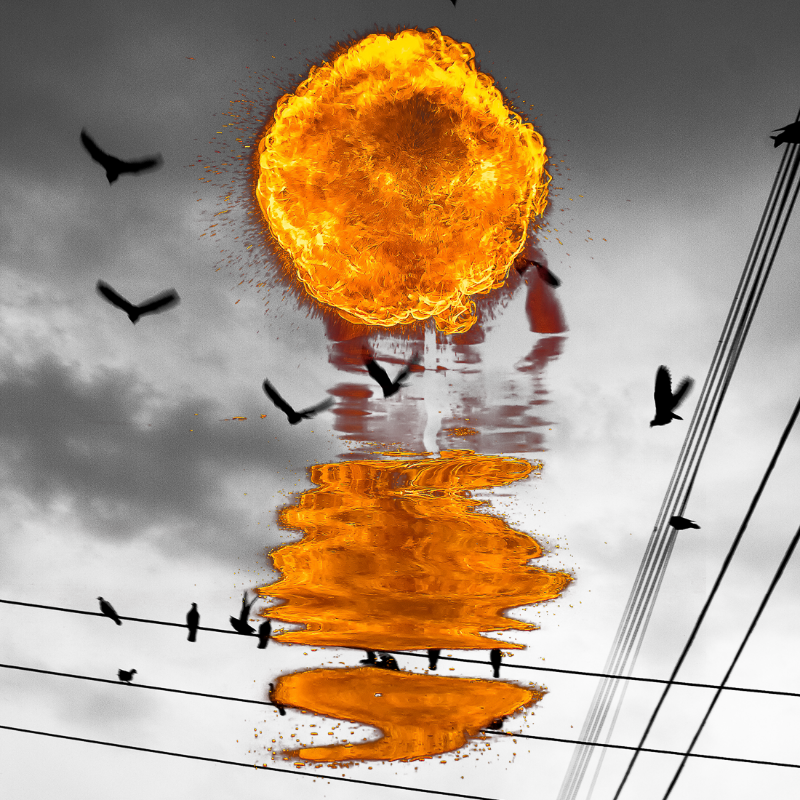 Free to burn #13 static token preview