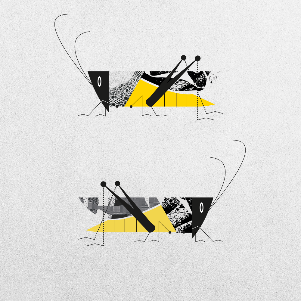 Grasshopper Abstraction #15 static token preview
