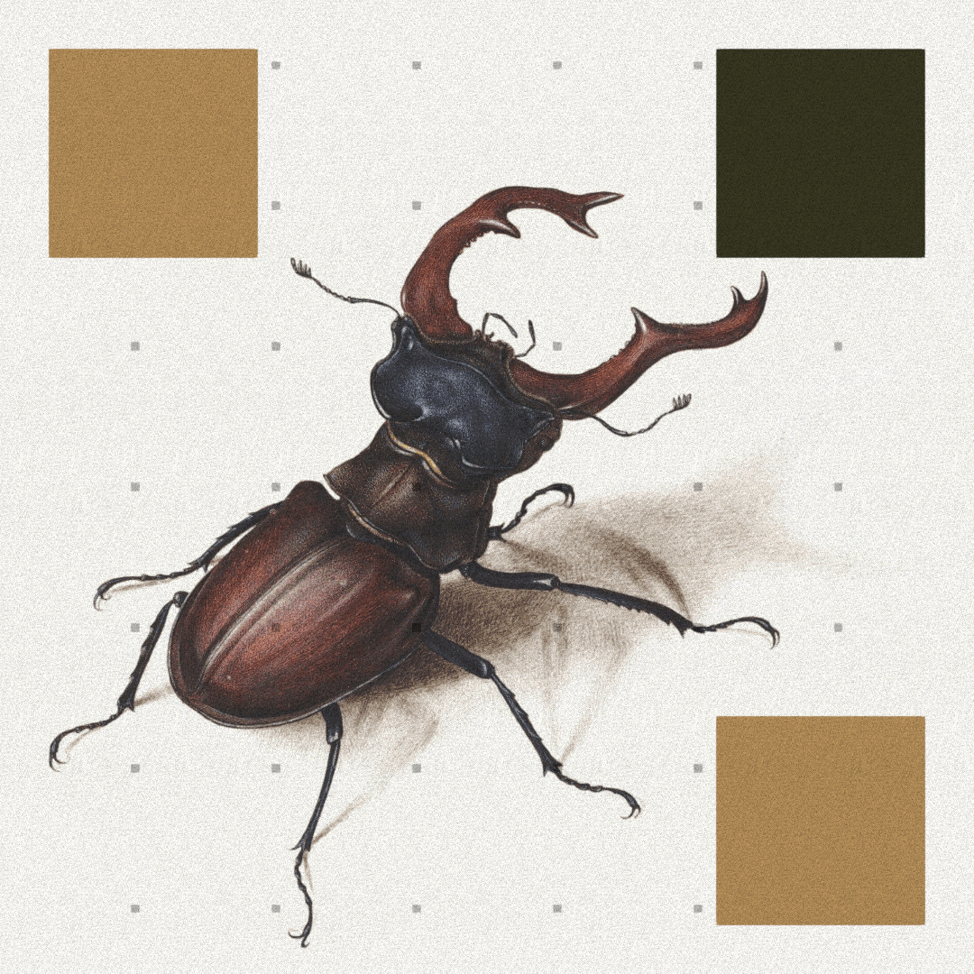 Beetle #3 static token preview