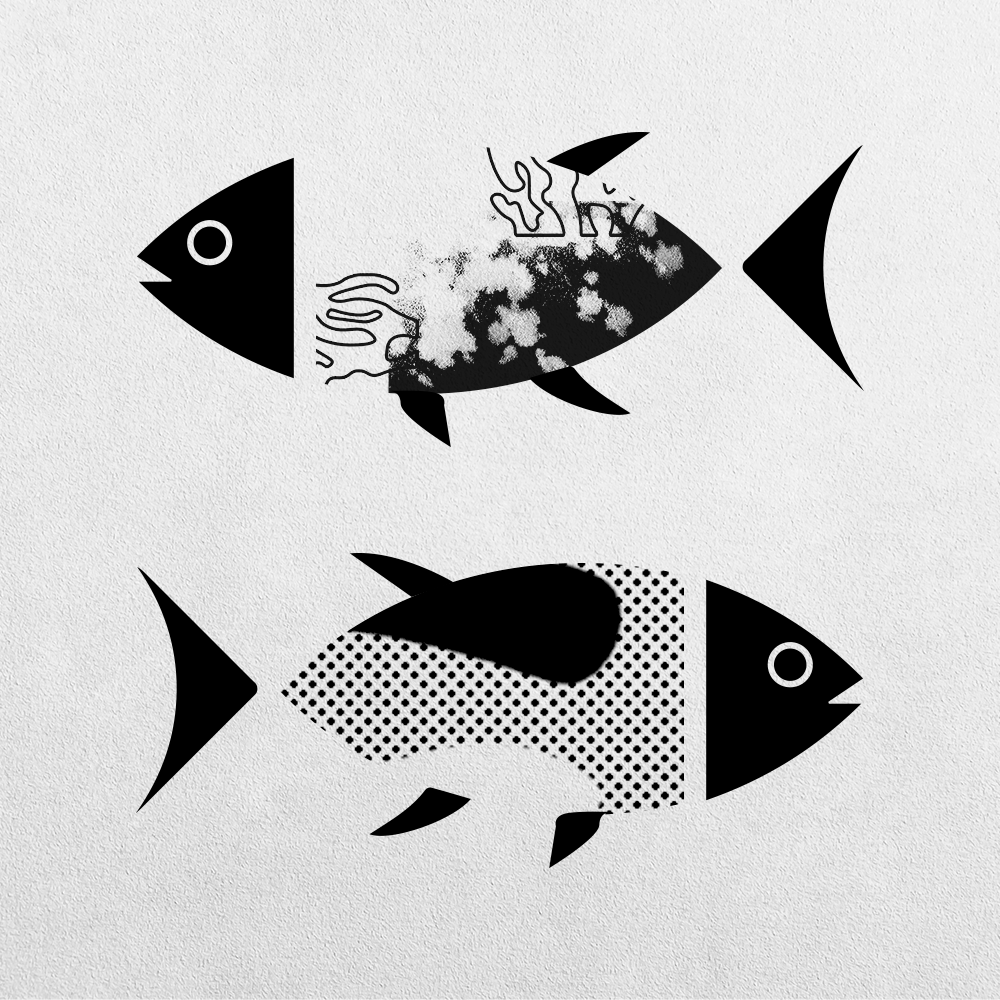Fish Abstraction #8 static token preview