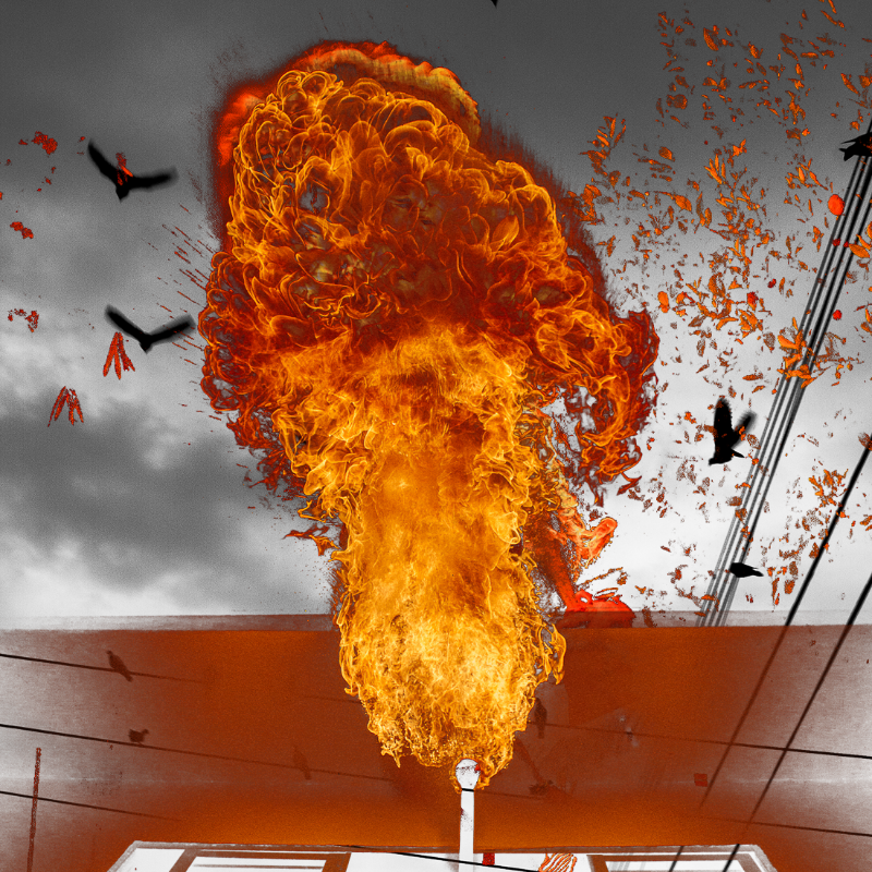 Free to burn #16 static token preview