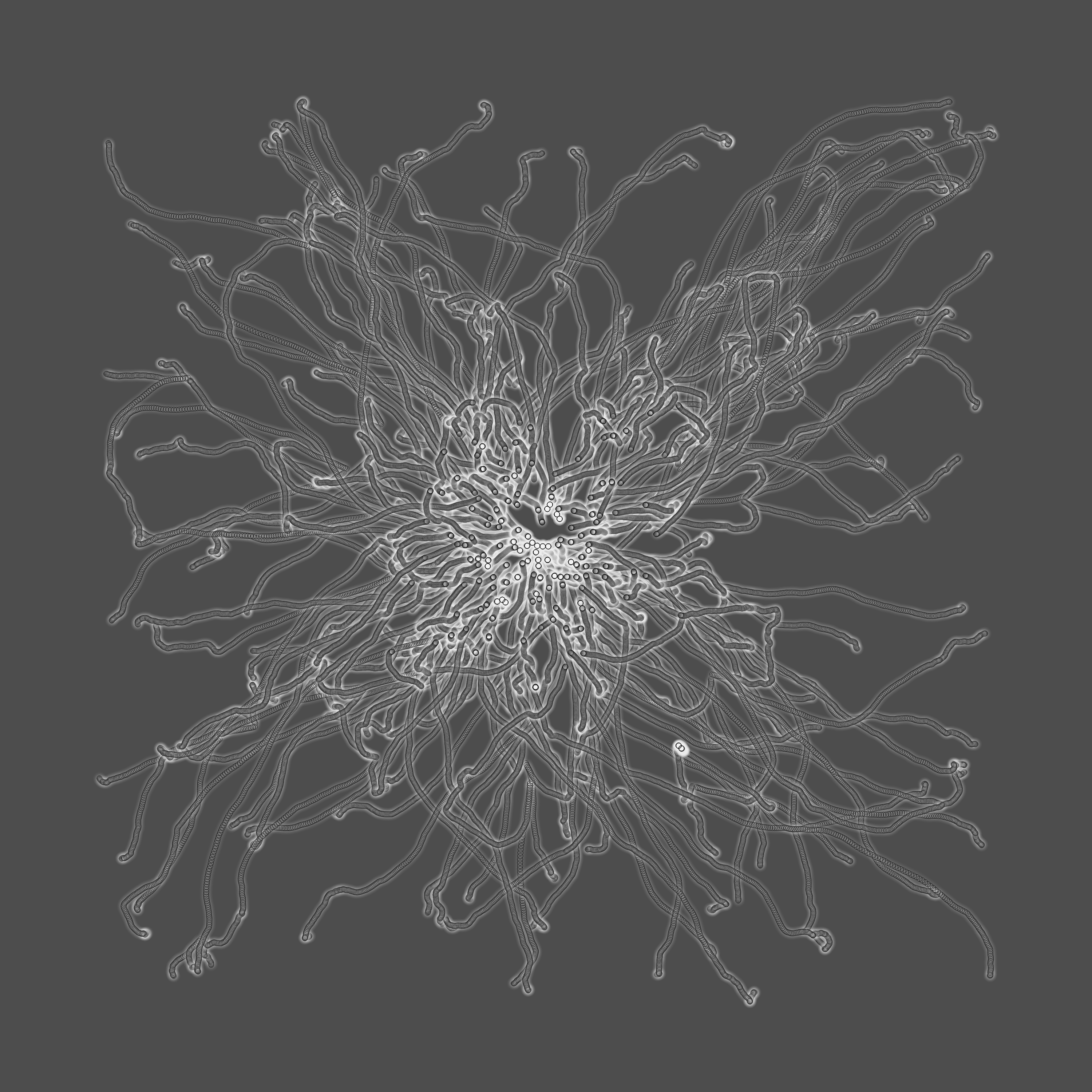 grey fungi wisdom #17 static token preview