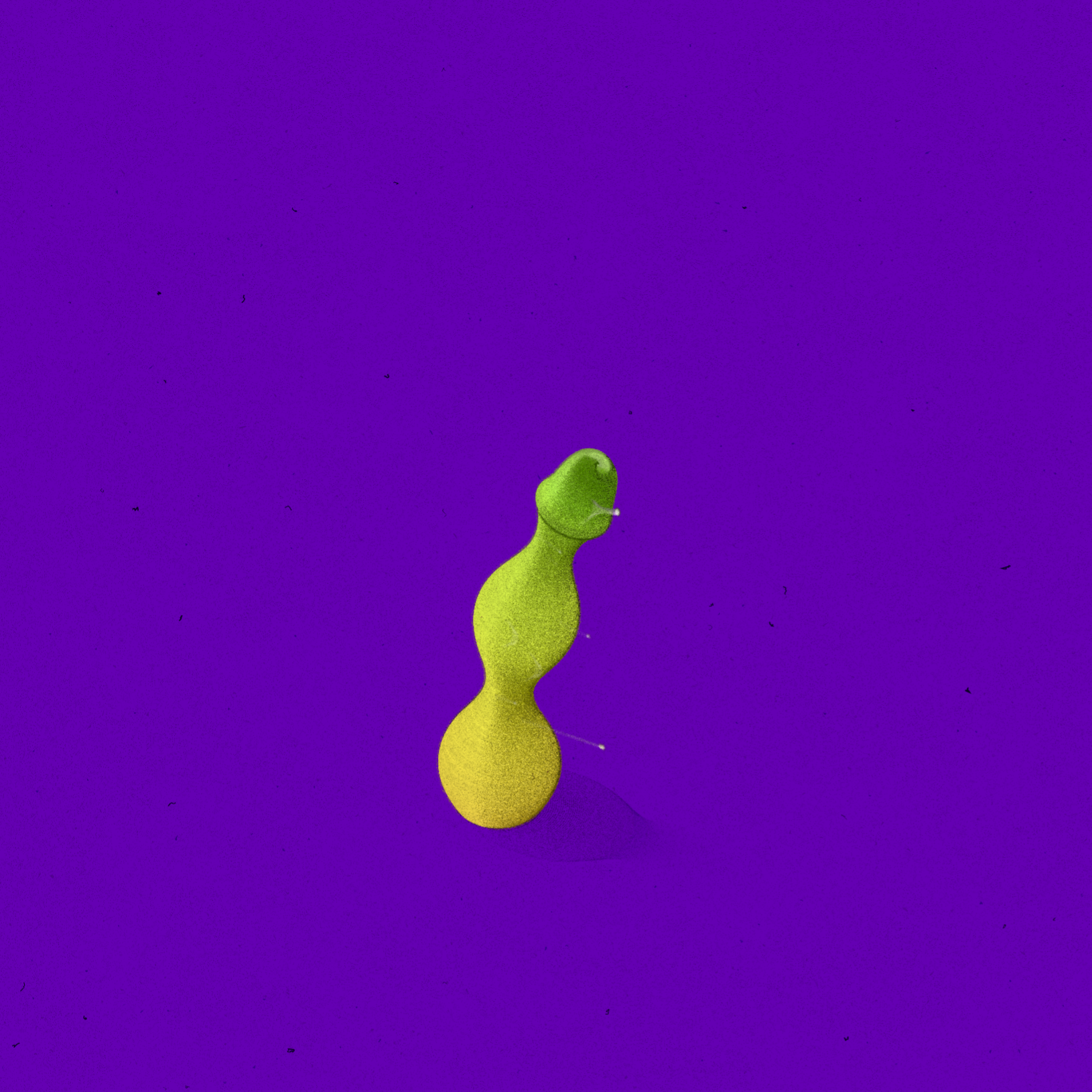 Shape Study #22 static token preview