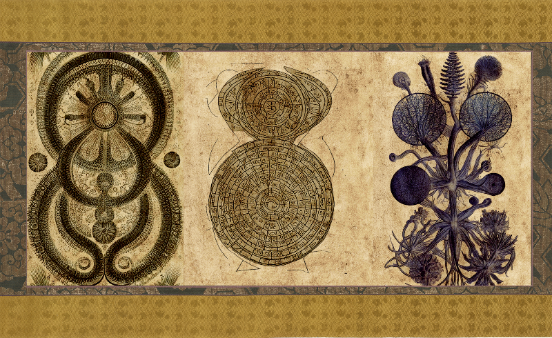 The Emissary Scrolls #19 static token preview