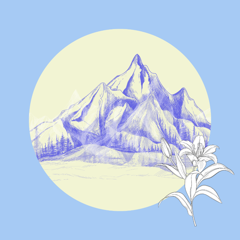 There is never just one peak on a mountain #13 static token preview