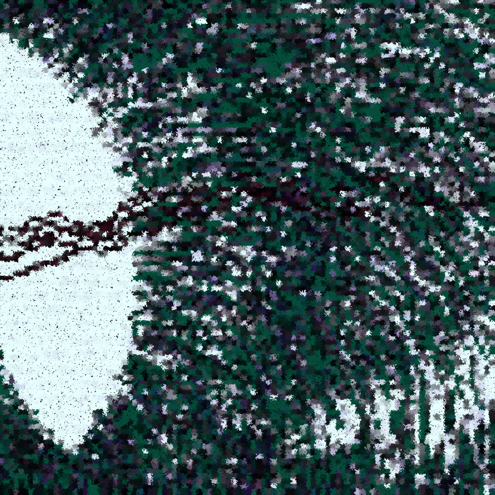 Pixel Walk #6 static token preview