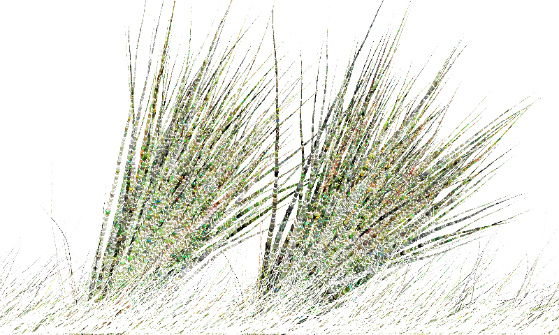 Sketches:Pairs of Tails:Majestic Creatures #9 static token preview