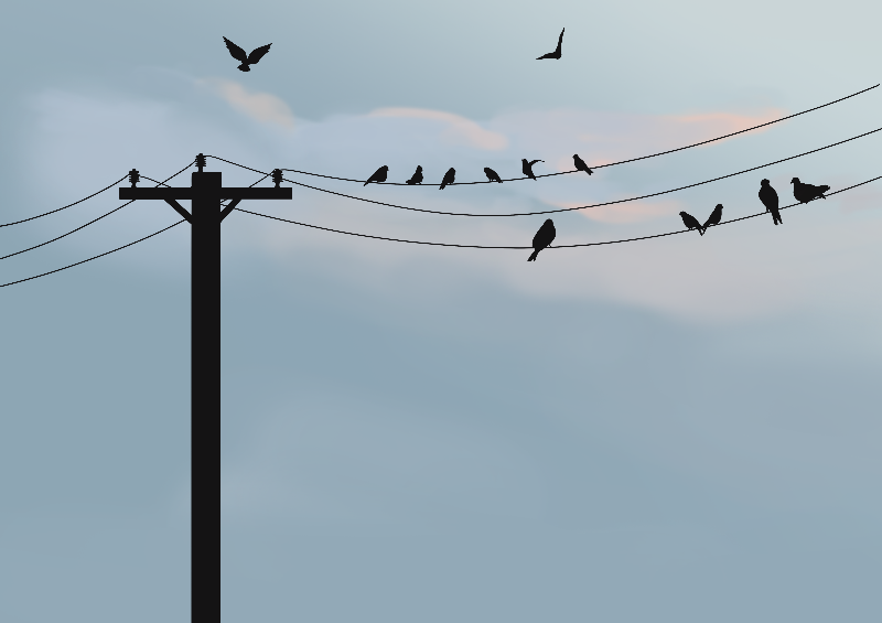 Online Birds #24 static token preview