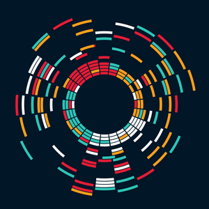 THE PERSISTENCE OF ORDER project preview