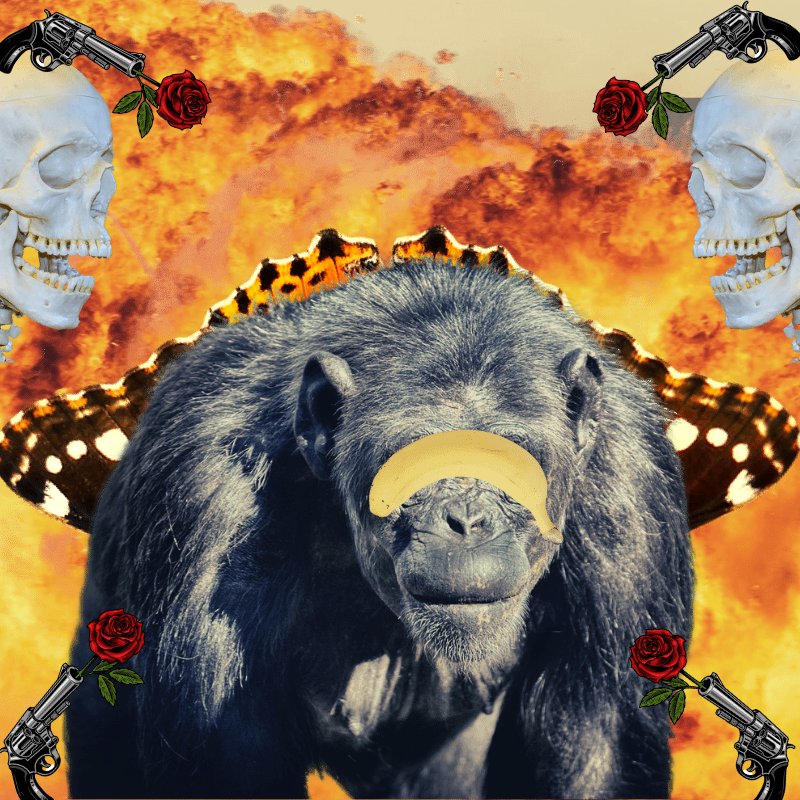 Blinded apes #2 static token preview