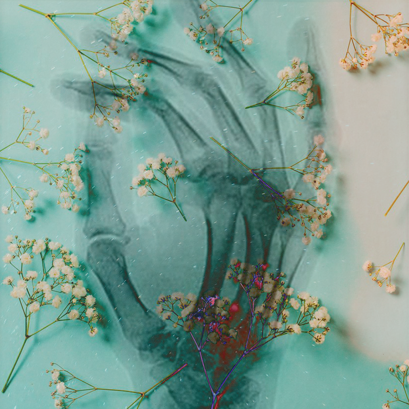 flowers and death #6 static token preview