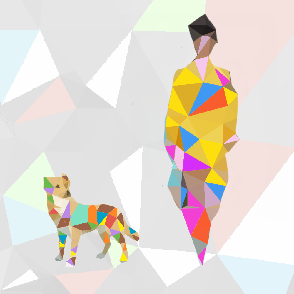 The magic of colors #12 static token preview