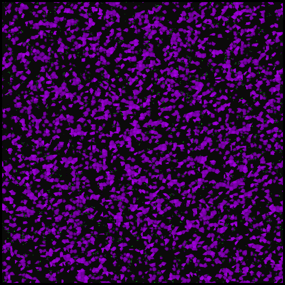 go2space #5 static token preview