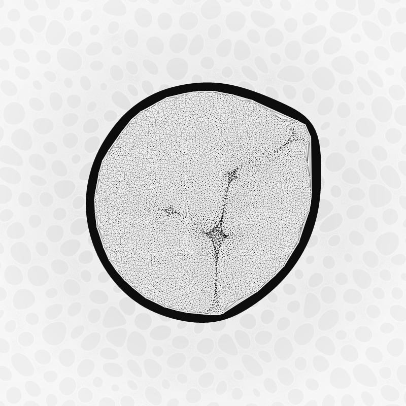 Protista #1 static token preview