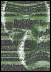 DEFORESTATIONS project preview