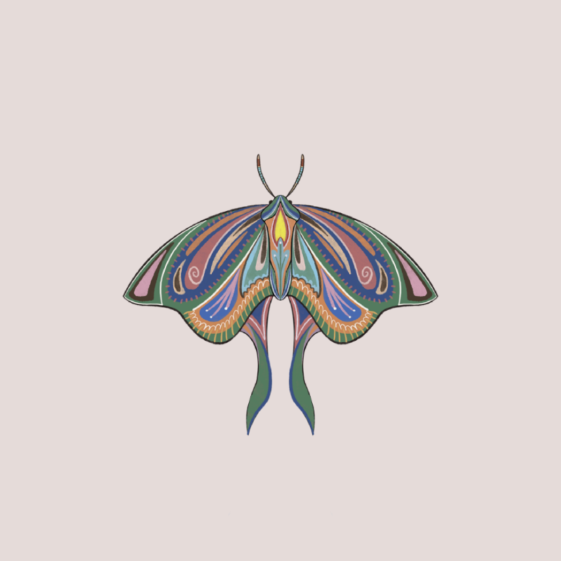 The Moth Experiment 2.0 P2 #24 static token preview