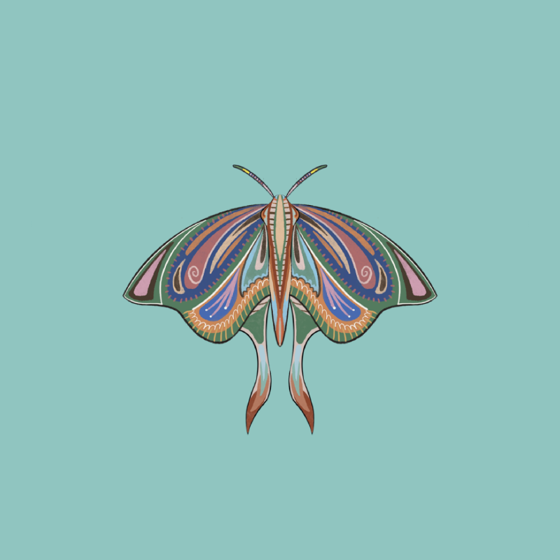 The Moth Experiment 2.0 P2 #10 static token preview