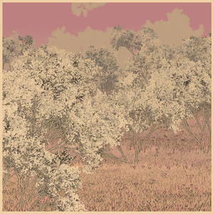 Natural order.chaos project preview