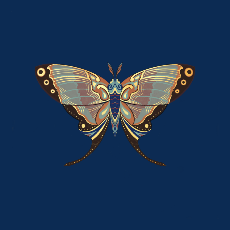 The Moth Experiment - Special Edition #4 static token preview