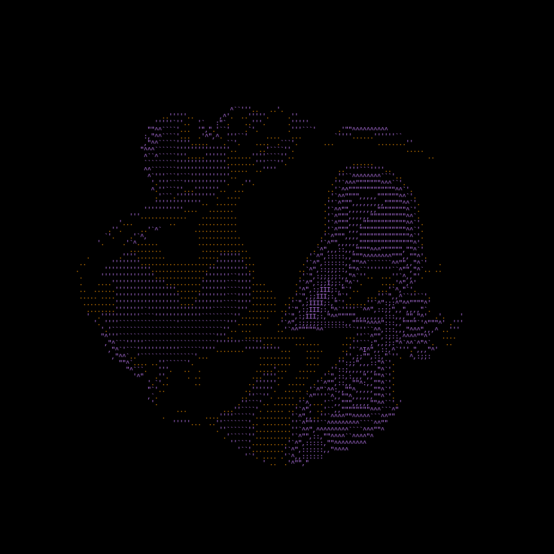 parts of us - ascii #2 static token preview