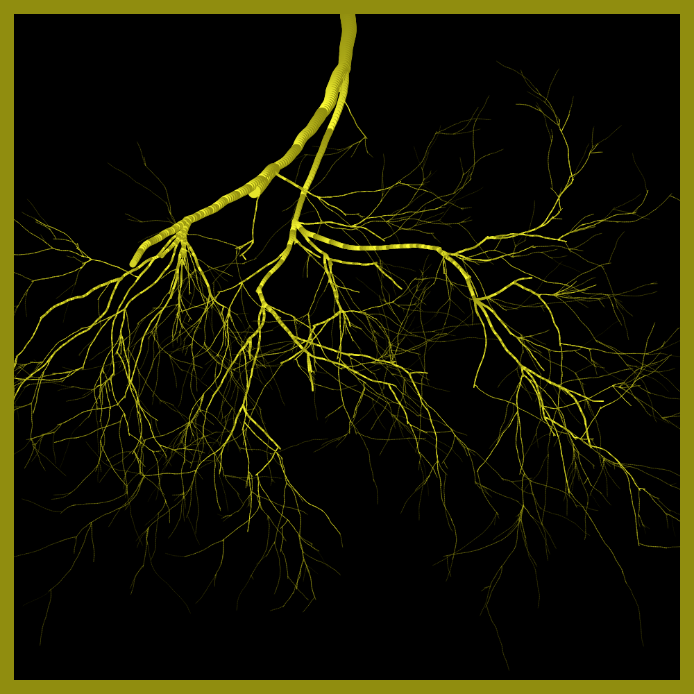 Arbres suspendus #2 static token preview