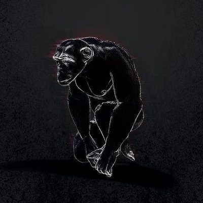 Alex Iavo avatar