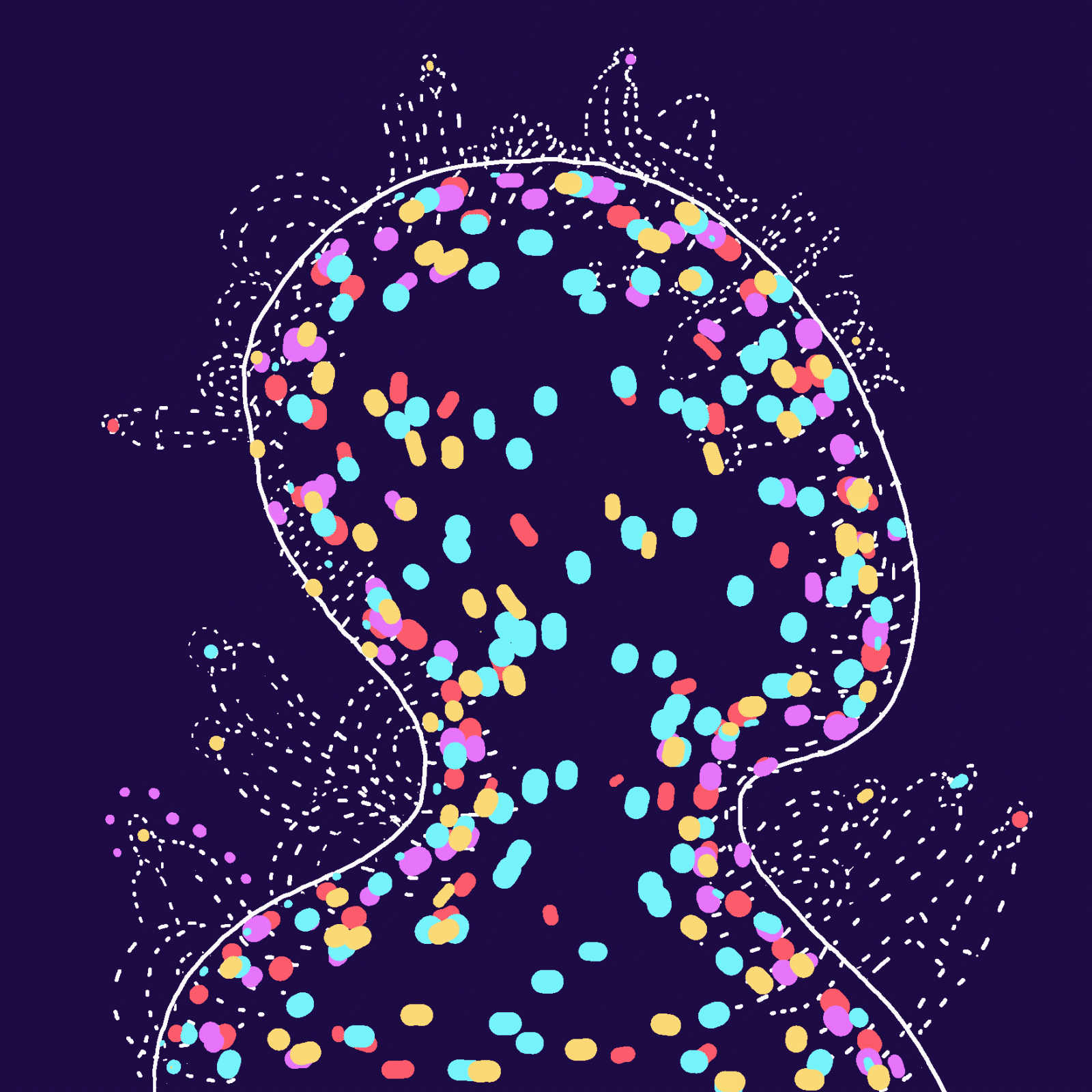 seed0k avatar