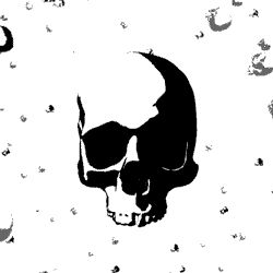 stargo avatar