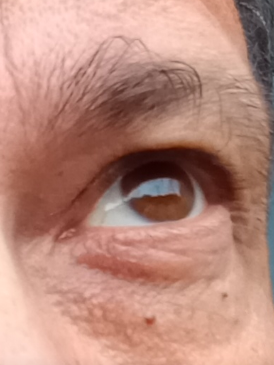 sergio.lens avatar