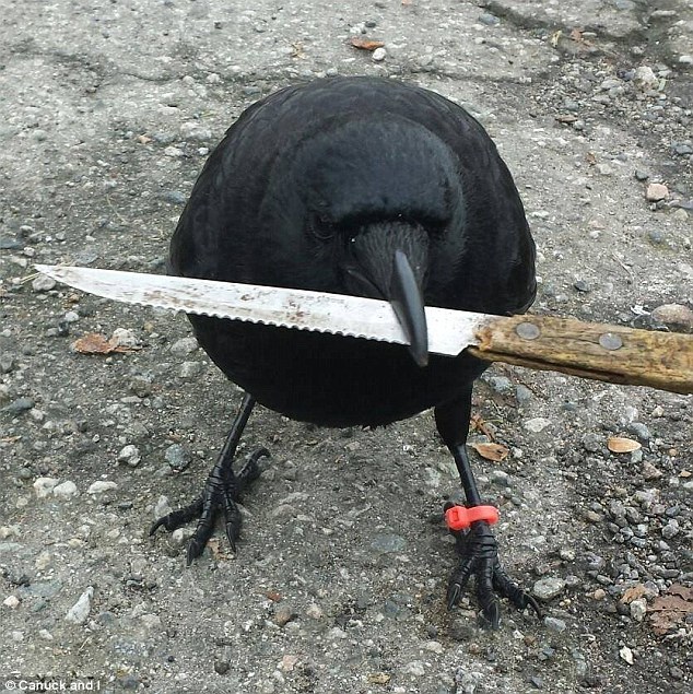 John Bird avatar