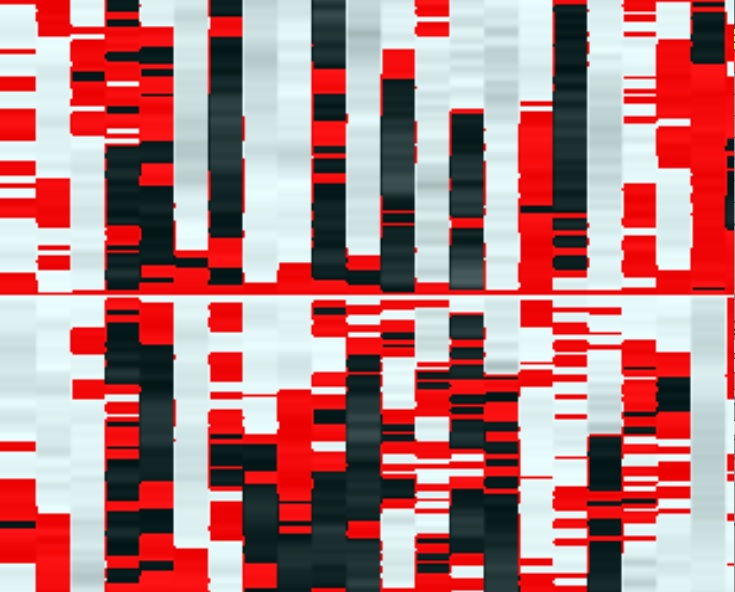 FX992 avatar
