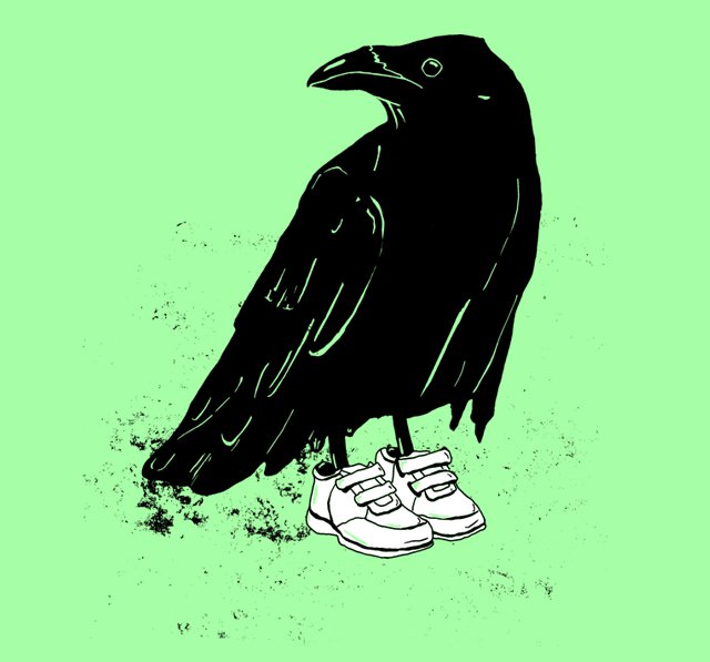 Poloop avatar