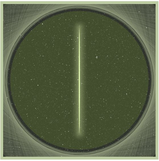 myg828 avatar