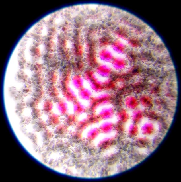 ciphrd avatar