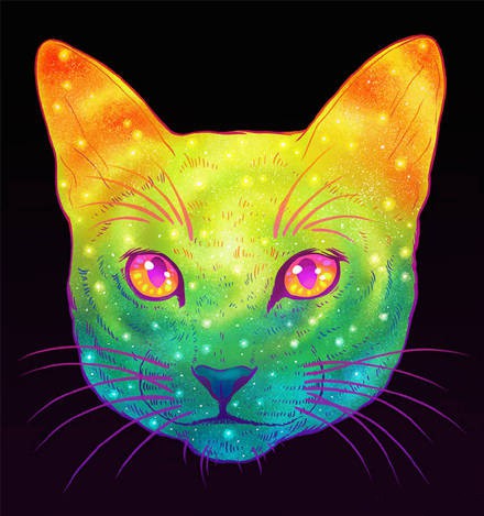 W0x9 avatar
